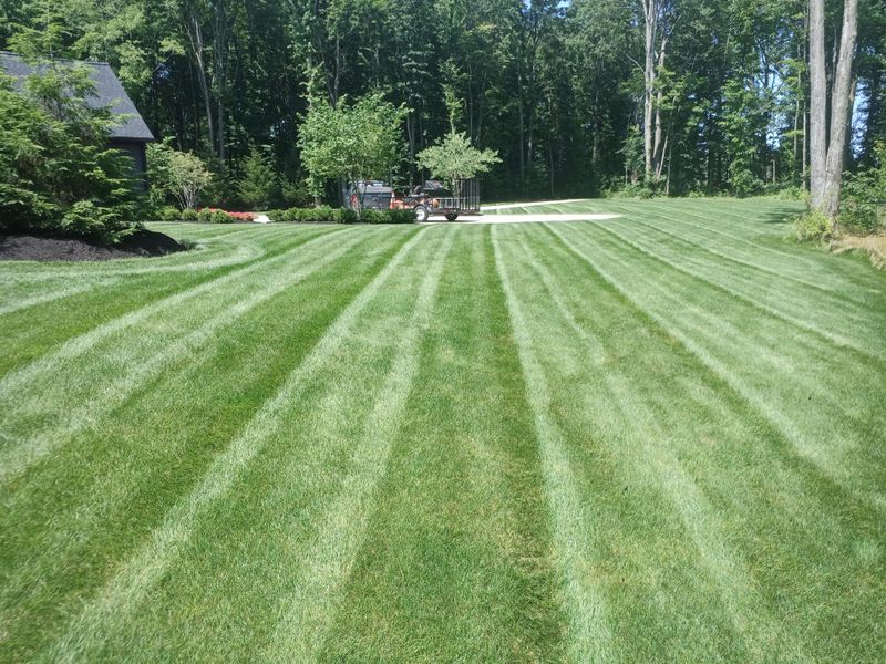 Lawn Maintenance