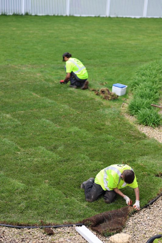 Sod Installation