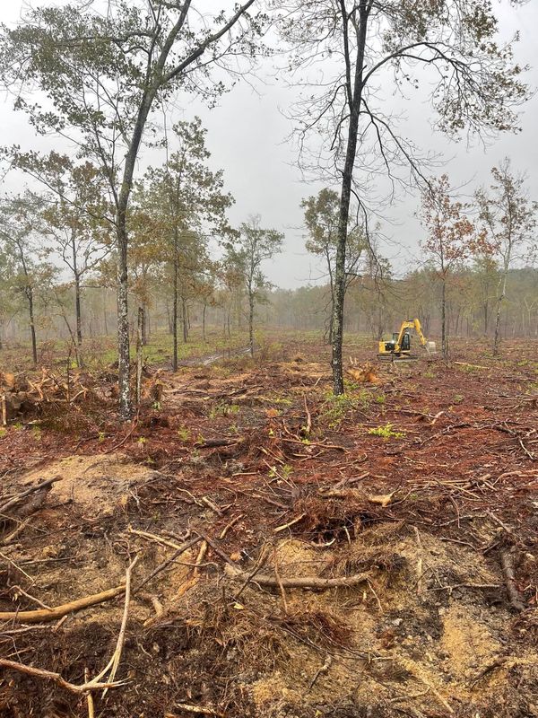 Land Clearing and Site Preparation