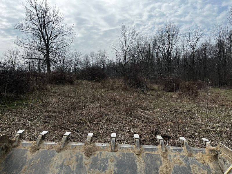 Land Clearing