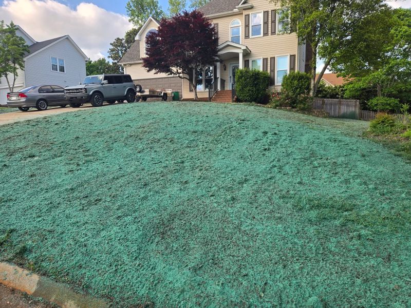 Hydroseeding gallery