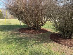 Lawn Care Services