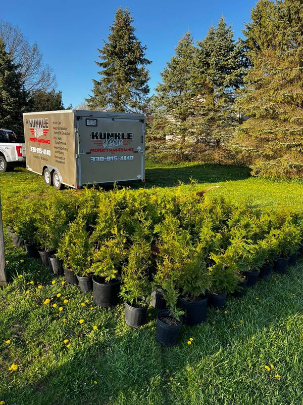 Landscaping