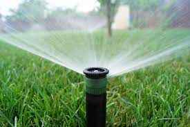 Lawn Maintenance