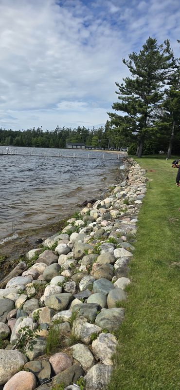 Shoreline remediation and erosion control
