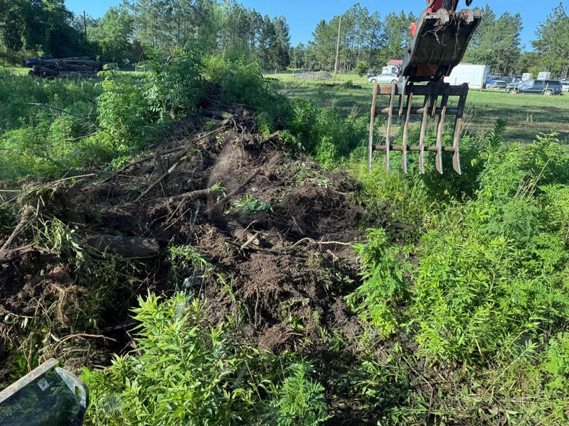Land Clearing