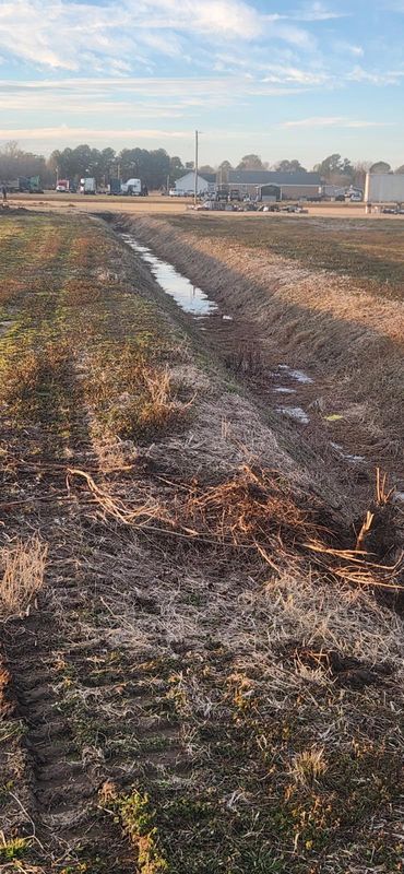 Land Clearing