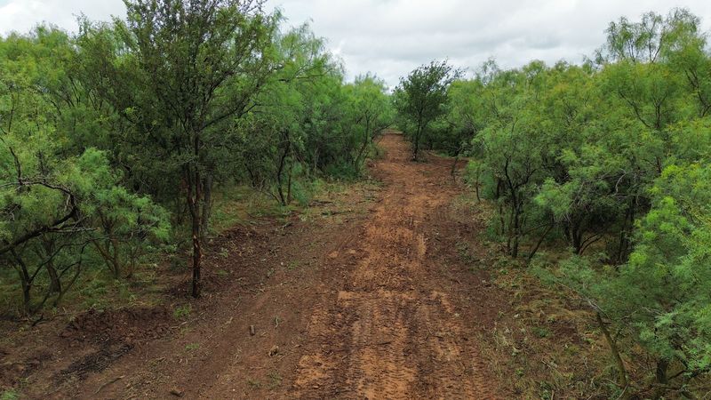 Wichita Falls Land Clearing Job