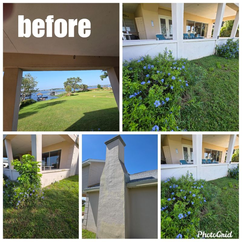 Stucco Repairs