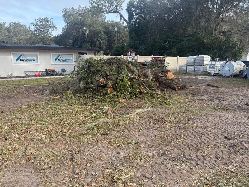 Land Clearing