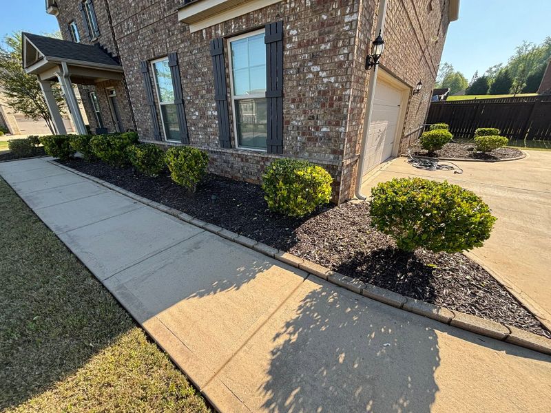 Tree & Shrub Care