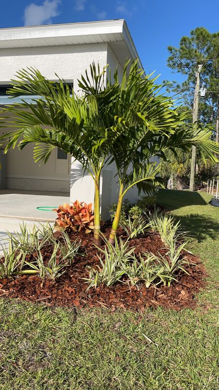 Lawn & Garden Services