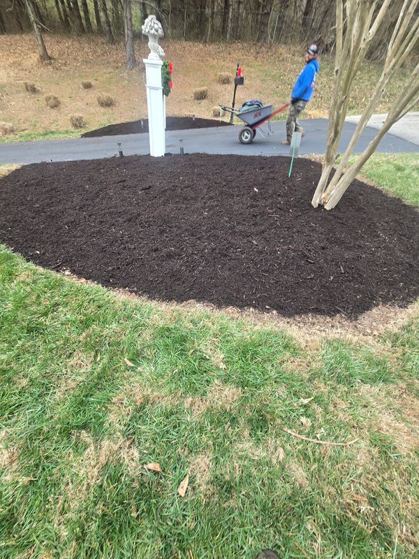 Landscape Installation