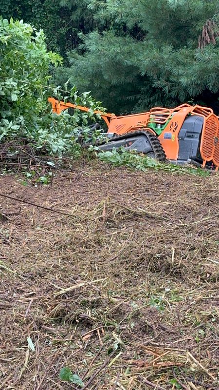 Steep Slope Mowing