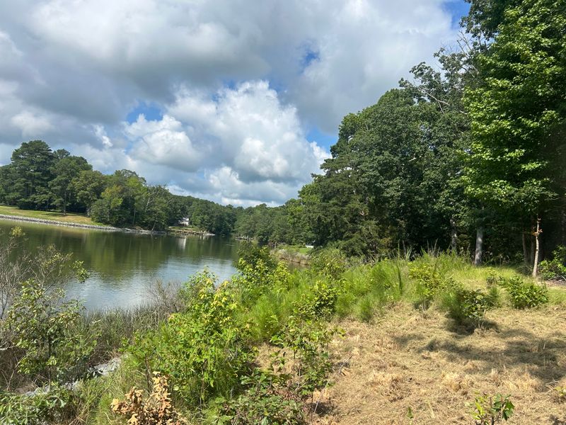 River Bank Clearing  gallery