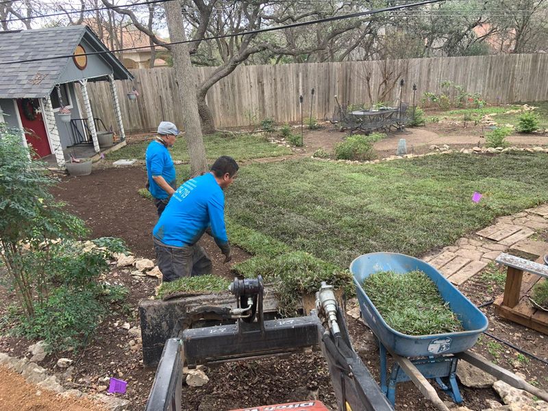 Landscape Design & Installation