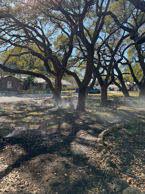 Irrigation