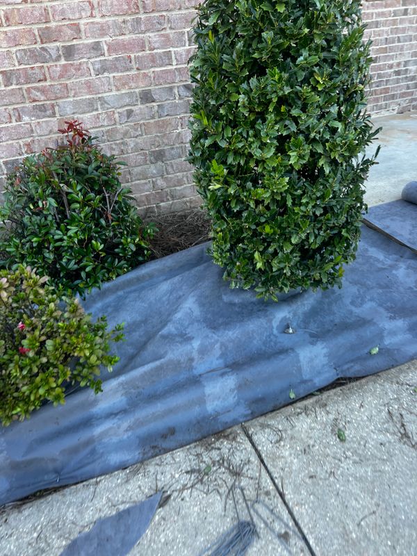 Landscape Design & Planting