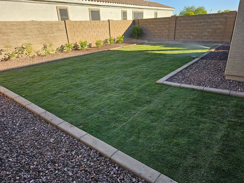 Lawn Maintenance / clean ups