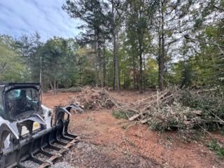 Brush Removal