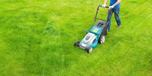 Lawn Care