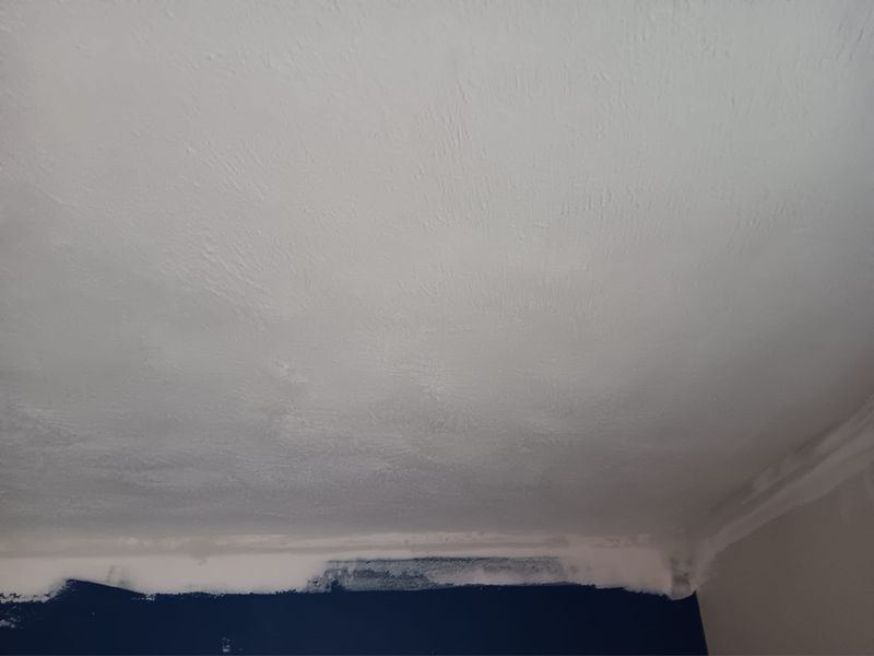 Subfloor repair and Beam Shoring