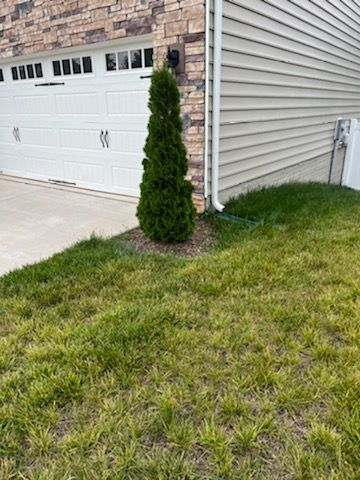 Lawn Care