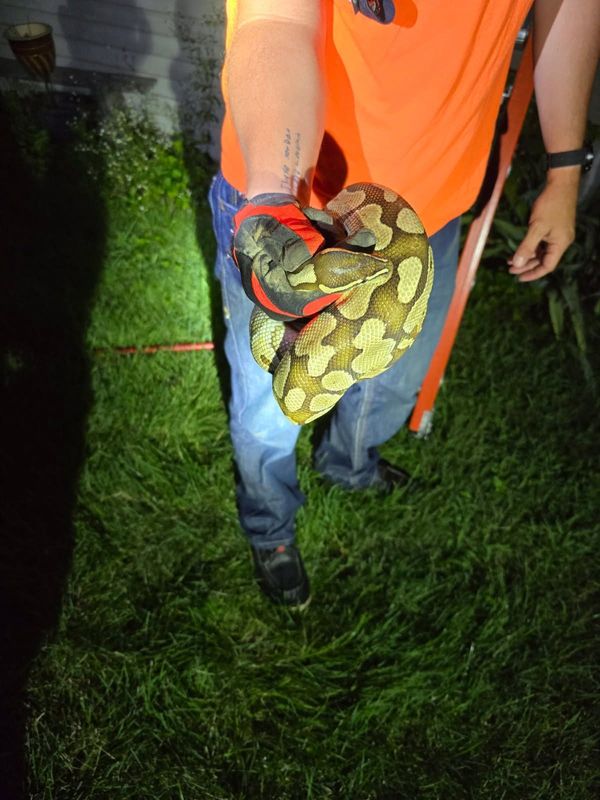 Emergency Animal Control