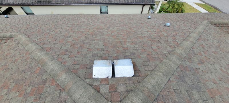 Shingle Roof Cleaning