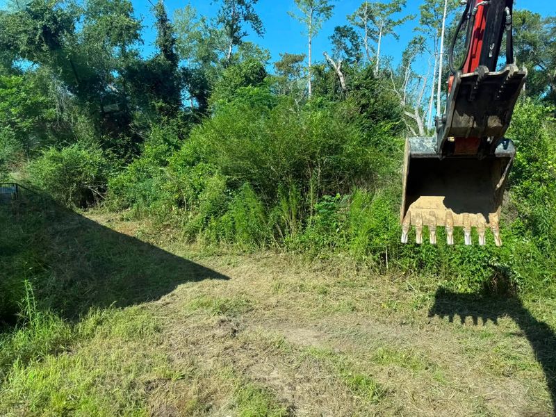 Land Clearing