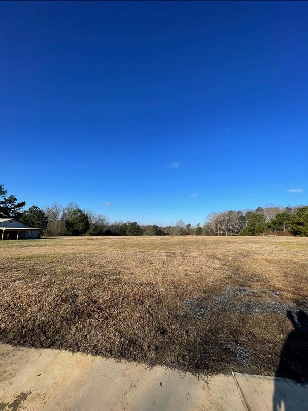 Land Clearing