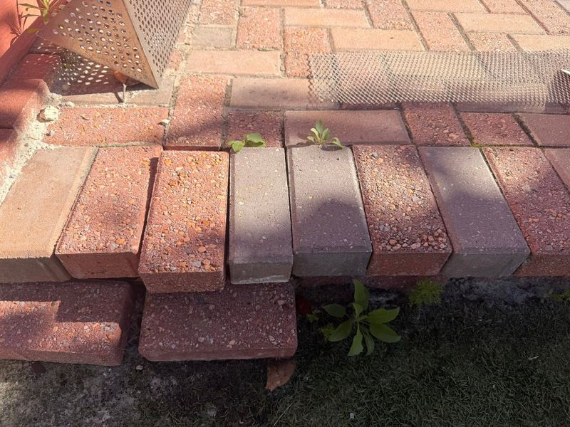 Masonry Restoration