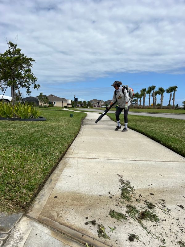 Lawn Maintenance