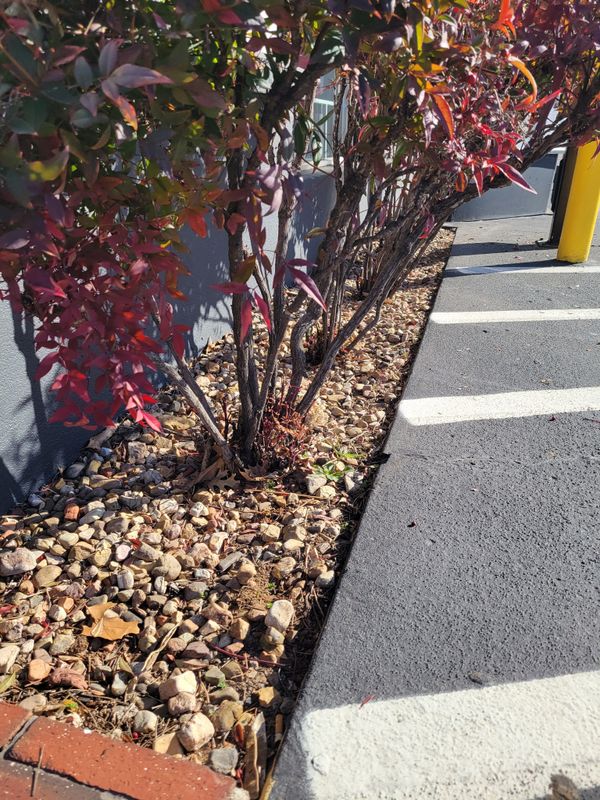 Hardscaping