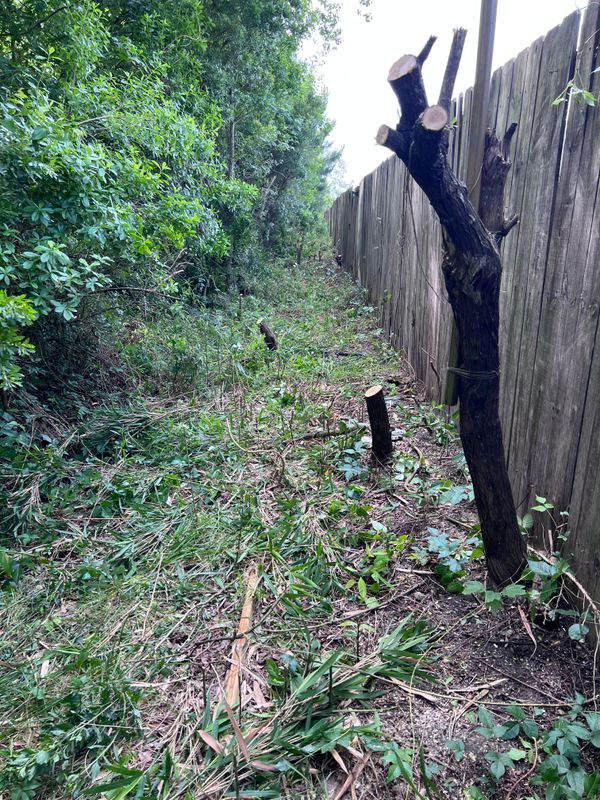 Property Maintenance 