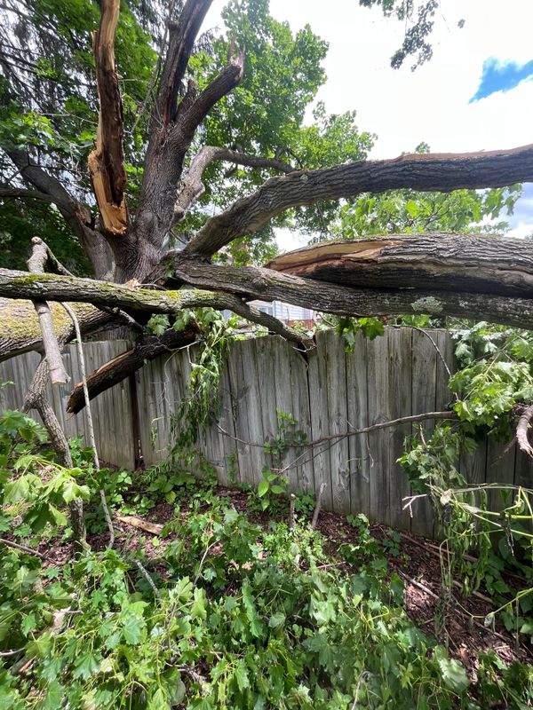 Storm work / Emergency work