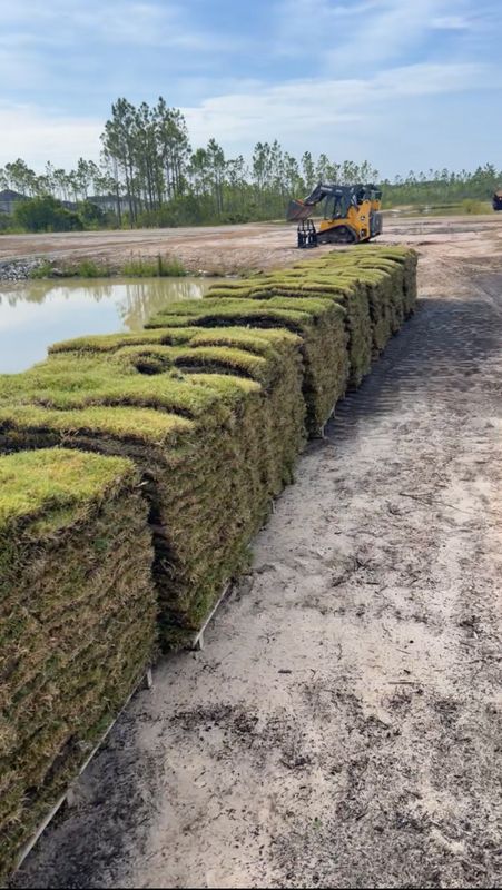 Sod Installation