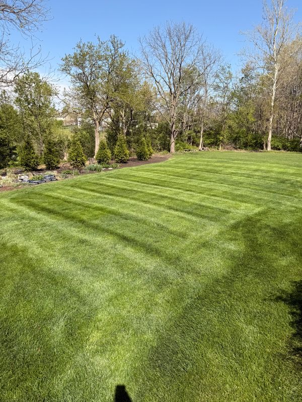 Lawn Care and Maintenance