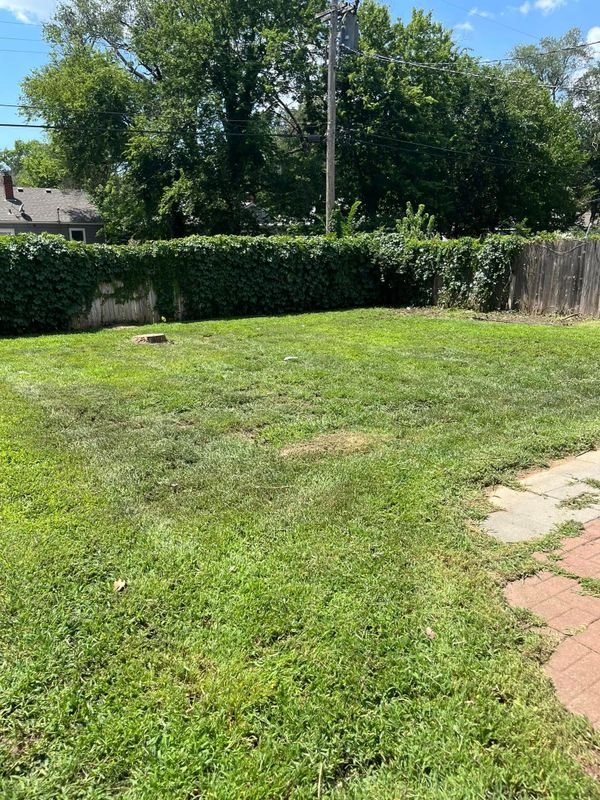 Lawn Maintenance