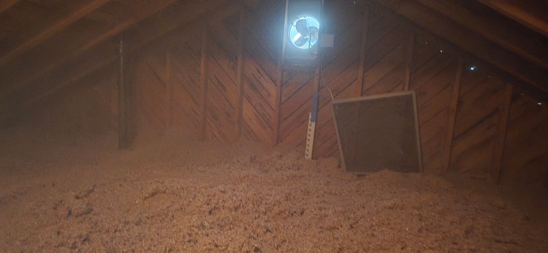 Eco-Friendly Insulation Options