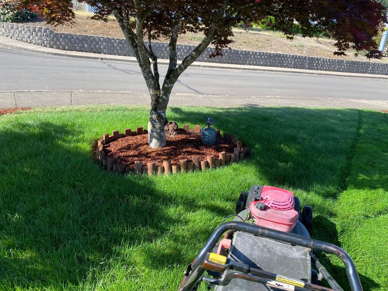 Lawn Maintenance