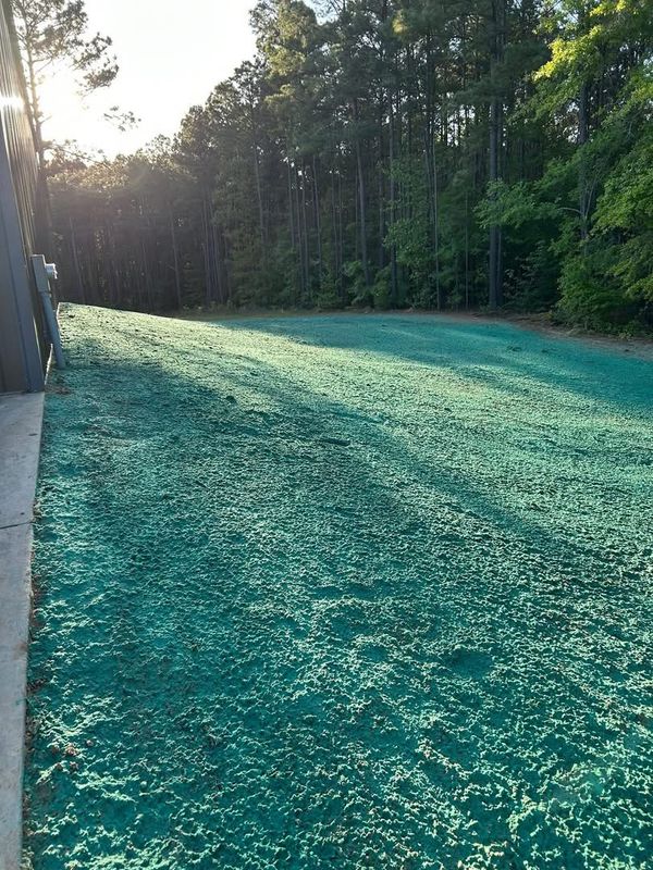 Hydroseeding gallery