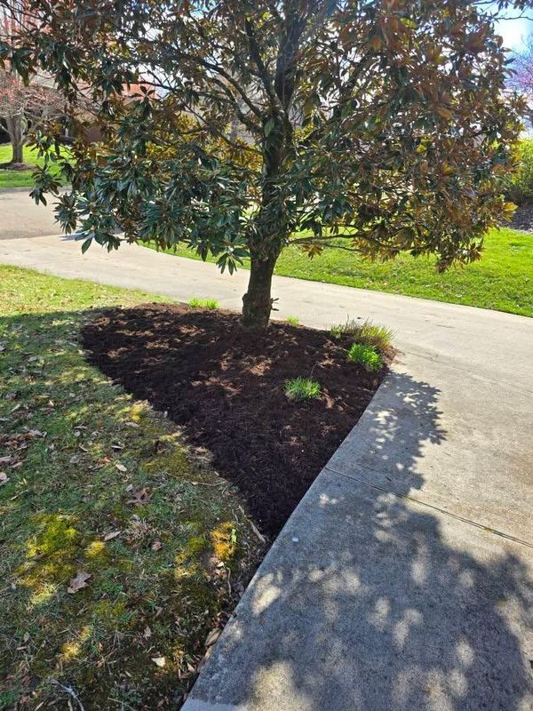 Landscaping