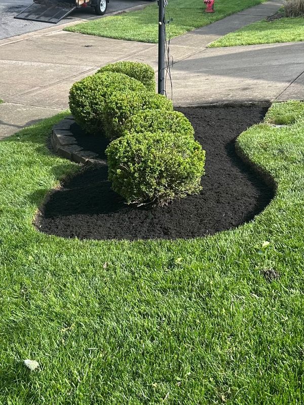Our Landscaping