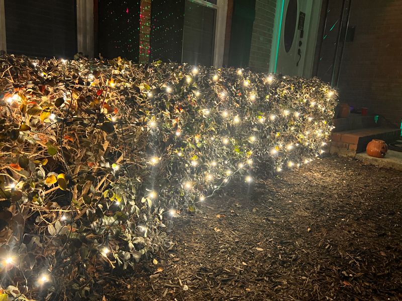 Holiday Lights