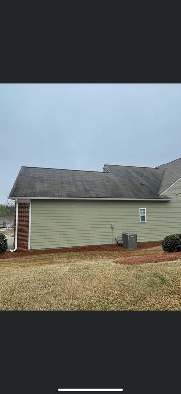 Roof Cleaning