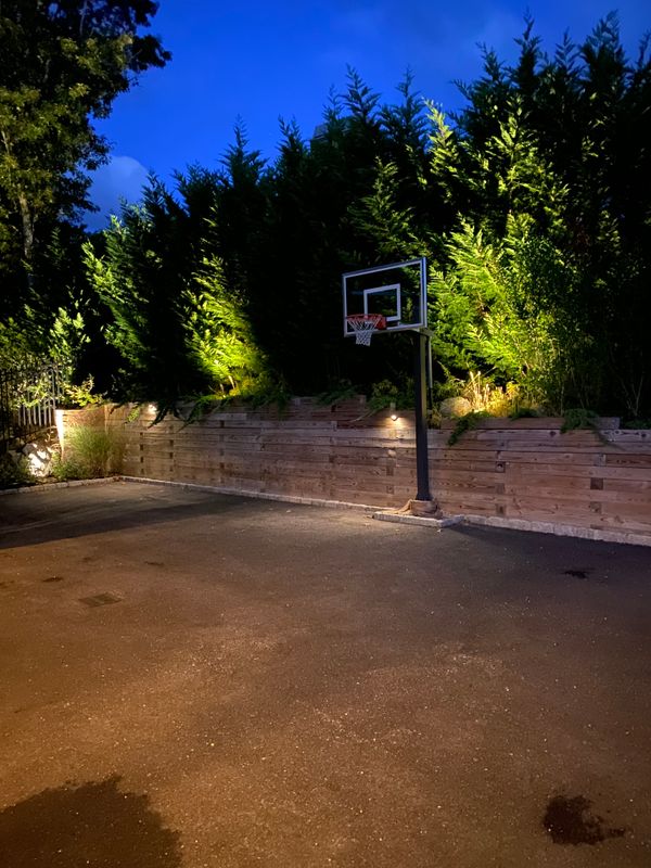 Landscape Lighting
