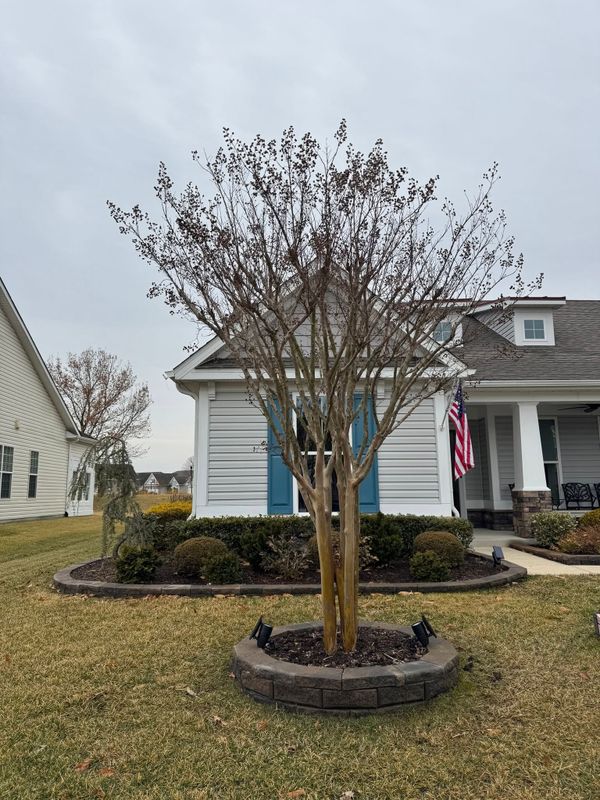 Landscaping