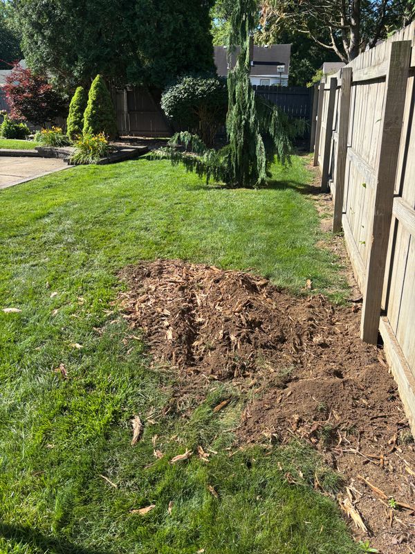 Stump Removal