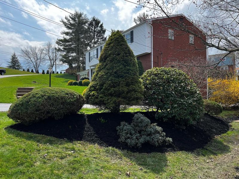 Shrub Trimming